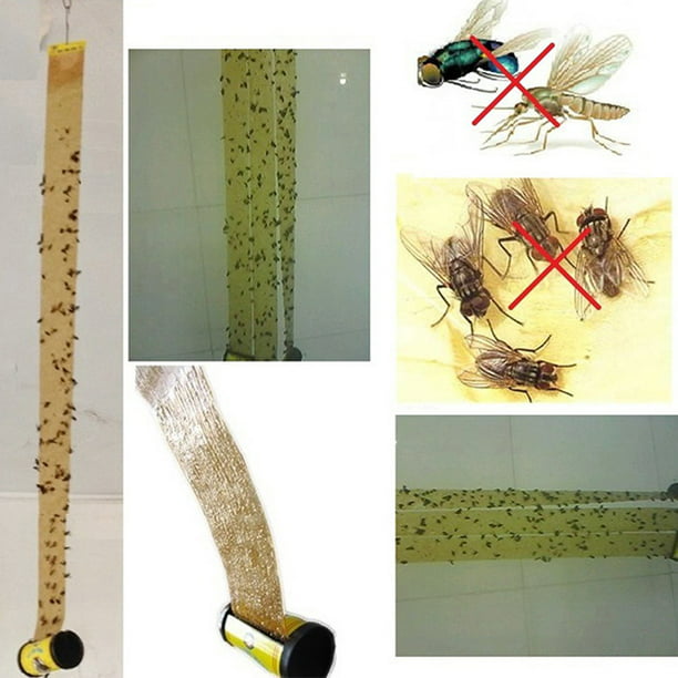 4 Rolls Insect Bug Fly Glue Paper Catcher Trap Ribbon Tape Strip Sticky Flie  UR